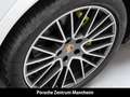 Porsche Cayenne E-Hyb. Coupe PE Luft AHK SAGA Hinterachslenkung Weiß - thumbnail 32