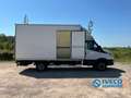 Iveco Daily 50C18 | 3.0 180PK | dHollandia | dubbel lucht | Wit - thumbnail 5