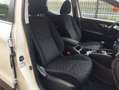 Nissan Qashqai Qashqai 1.5 dci Acenta 110cv Bianco - thumbnail 12