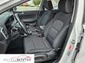 Kia Sportage 1.6 CRDI 136 CV 2WD Mild Hybrid Black Edition Bianco - thumbnail 10