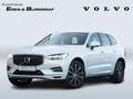 Volvo XC60 T6 AWD Inscription Recharge PHEV Weiß - thumbnail 1