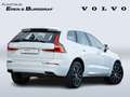 Volvo XC60 T6 AWD Inscription Recharge PHEV Weiß - thumbnail 2