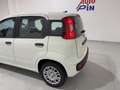 Fiat Panda Panda 1.0 FireFly S&S Hybrid *PROMO* Blanc - thumbnail 11