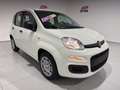 Fiat Panda Panda 1.0 FireFly S&S Hybrid *PROMO* Blanc - thumbnail 3