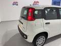 Fiat Panda Panda 1.0 FireFly S&S Hybrid *PROMO* Blanc - thumbnail 13
