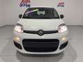 Fiat Panda Panda 1.0 FireFly S&S Hybrid *PROMO* Blanc - thumbnail 2