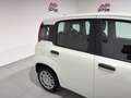 Fiat Panda Panda 1.0 FireFly S&S Hybrid *PROMO* Blanc - thumbnail 12