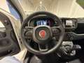 Fiat Panda Panda 1.0 FireFly S&S Hybrid *PROMO* Blanc - thumbnail 6