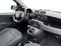 Fiat Panda Cross 1.0 FireFly S&S Hybrid Nero - thumbnail 15