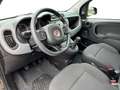 Fiat Panda Cross 1.0 FireFly S&S Hybrid Nero - thumbnail 9