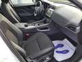 Jaguar F-Pace 2.0d i4 R-Sport awd 180cv auto Blanco - thumbnail 14