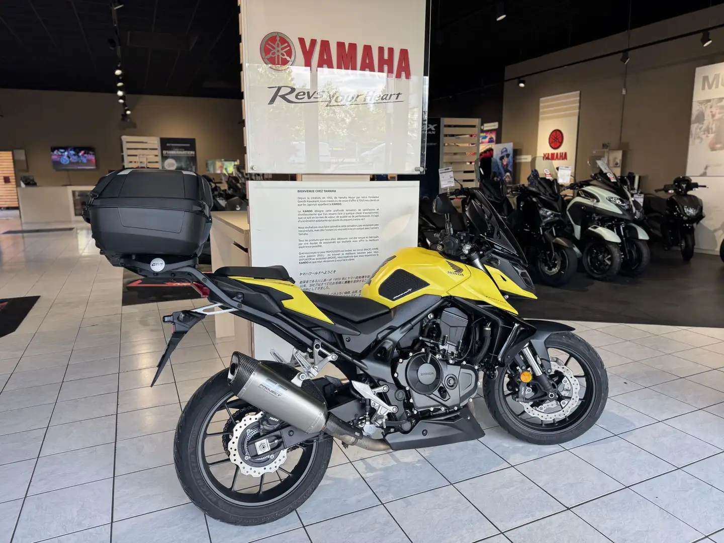 Honda Hornet Gelb - 2