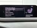 Mazda CX-30 2.0 e-SkyActiv-G M Hybrid Homura | 4 seisoens band Gris - thumbnail 41