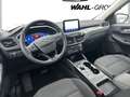Ford Kuga PHEV Titanium *LED*HUD*ASSISTENZ PAKET* Grijs - thumbnail 11