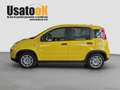 Fiat Panda 1.0 FireFly S&S Hybrid PREZZO REALE SENZA OBBLIGO Gelb - thumbnail 3