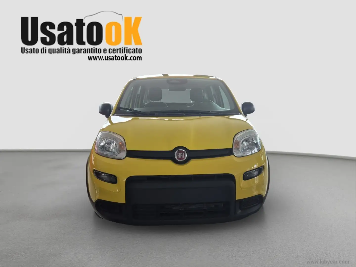 Fiat Panda 1.0 FireFly S&S Hybrid PREZZO REALE SENZA OBBLIGO Gelb - 2
