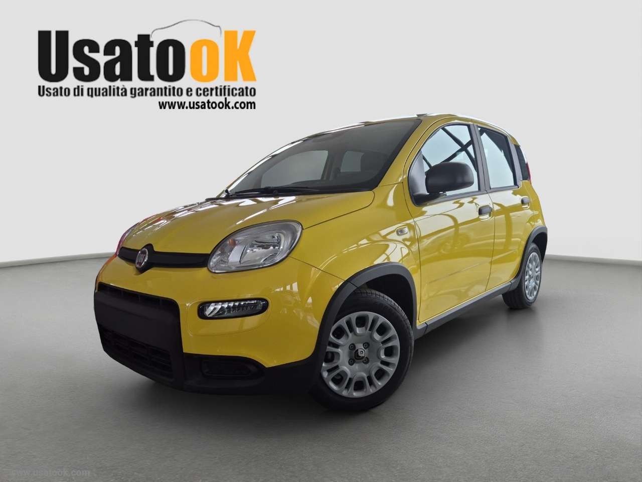 Fiat Panda 1.0 FireFly S&S Hybrid PREZZO REALE SENZA OBBLIGO