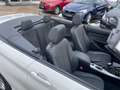 BMW 220 i Cabrio *Tempomat*Bi-Xenon*Sitzheizung* Blanc - thumbnail 14