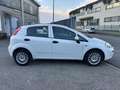 Fiat Punto 1.2 8V 5p Street *OK NEOPATENTATI* *FINANZIABILE* Weiß - thumbnail 6