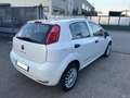 Fiat Punto 1.2 8V 5p Street *OK NEOPATENTATI* *FINANZIABILE* Weiß - thumbnail 4