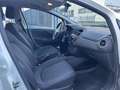 Fiat Punto 1.2 8V 5p Street *OK NEOPATENTATI* *FINANZIABILE* Weiß - thumbnail 10