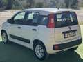 Fiat Panda 1.3 mjt 16v Easy N1 (IVA COMPRESA) Bianco - thumbnail 5