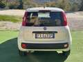 Fiat Panda 1.3 mjt 16v Easy N1 (IVA COMPRESA) Bianco - thumbnail 4