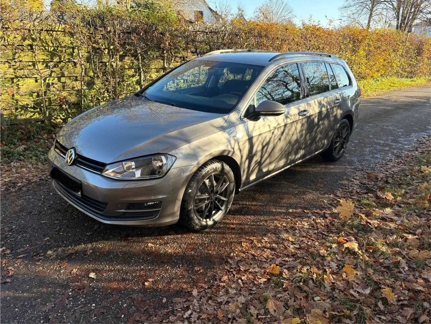 Volkswagen Golf VII Variant Comfortline 1.6 TDI BMT Gris - 1