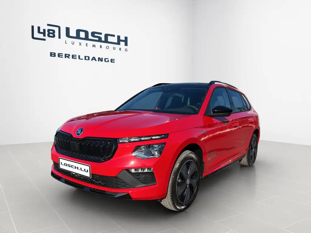 Skoda Kamiq 2026 из Европы — купить под ключ