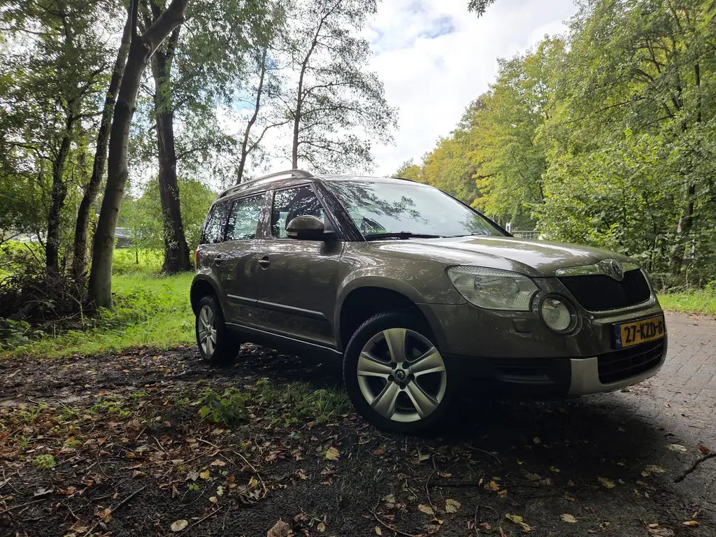Skoda Yeti 2010 из Европы — купить под ключ
