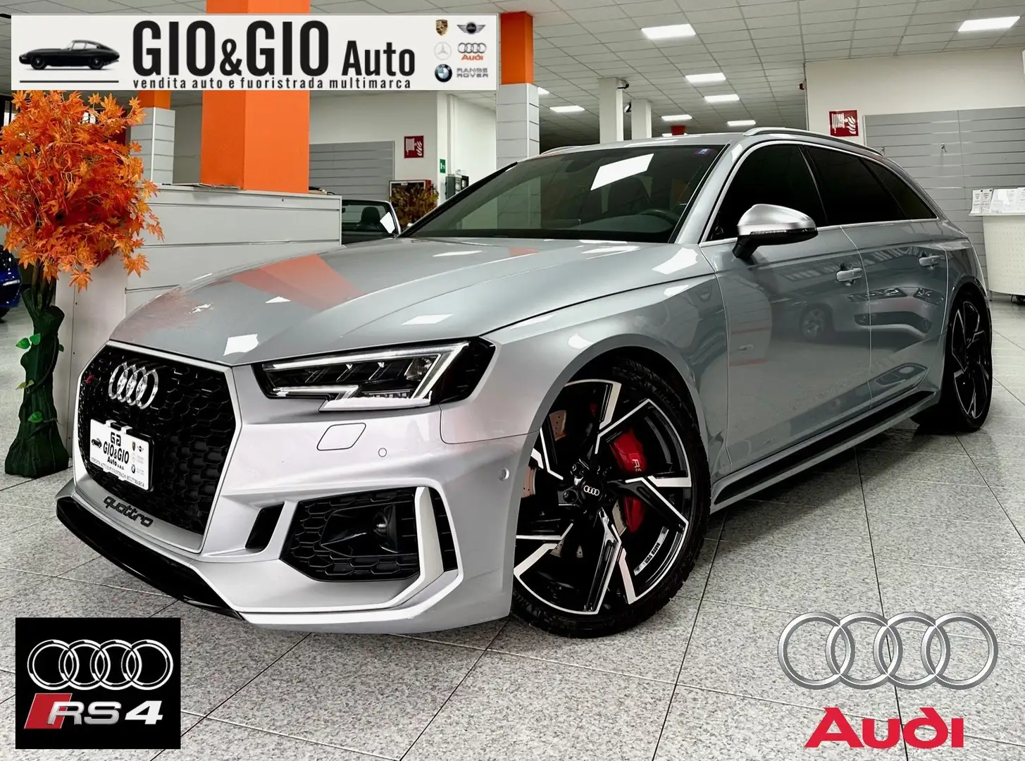 Audi RS4 RS4 Avant 2.9 tfsi quattro 450cv Silber - 1