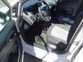 SEAT Ibiza 1.2TDI ReferenceST/Klima/Euro5/Tüv-Neu/Navi Weiß - thumbnail 10