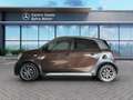 smart forFour Forfour 0.9 t Crosstown Perfect 90cv twinamic Marrone - thumbnail 1