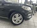 Mercedes-Benz ML 500 CGI V8 BE 4Matic, 1.Hand, Leder, 7G, Pano Schwarz - thumbnail 24