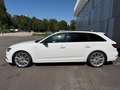 Audi A4 Quattro Sport S-Line 3.0 TDI Weiß - thumbnail 5