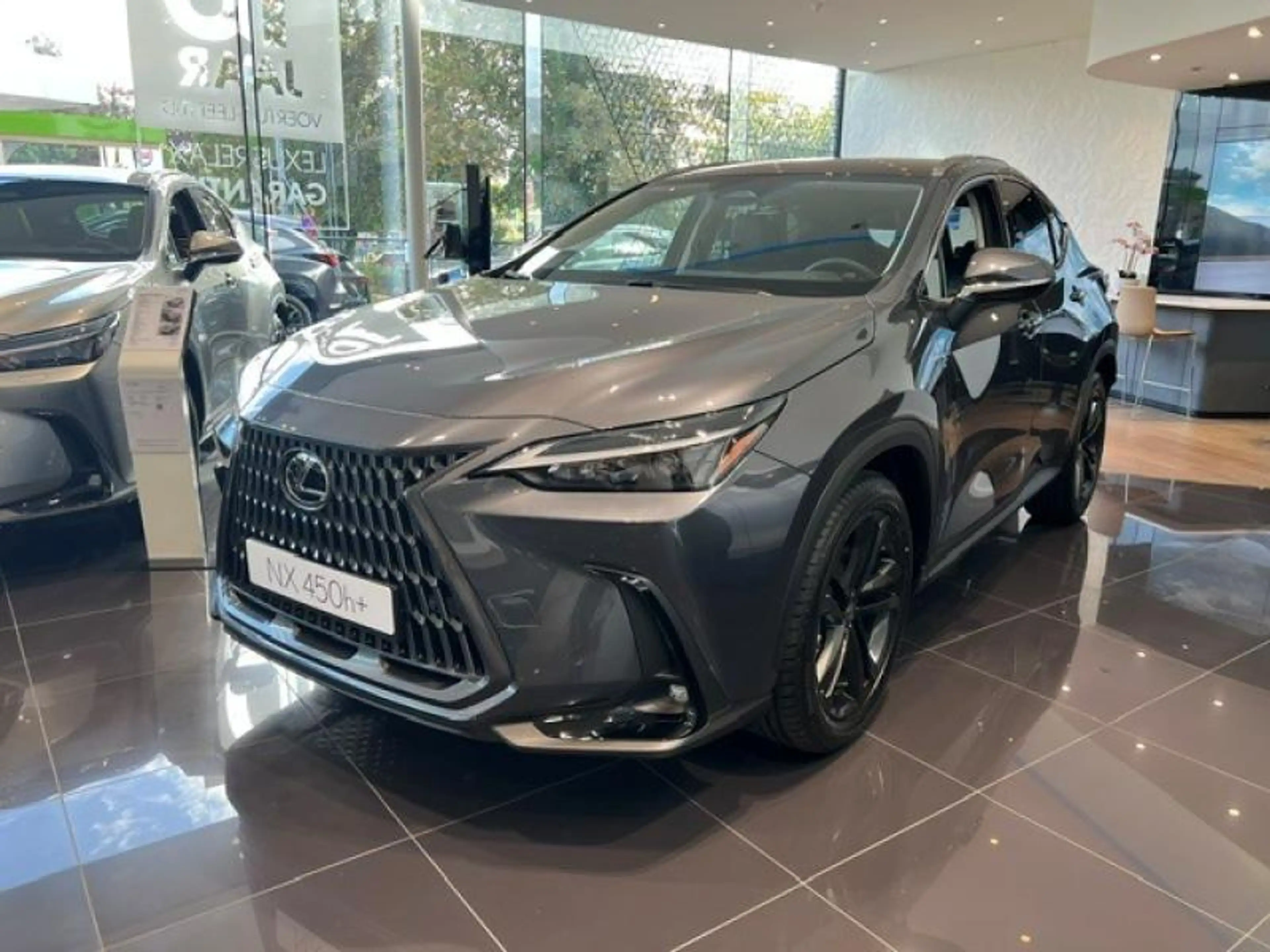 Lexus NX 450h+ Premium + — photo 8