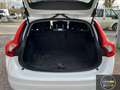 Volvo V60 V60 D3 Momentum Bianco - thumbnail 8