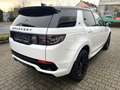 Land Rover Discovery Sport R-DYNAMIC HSE *Pano*HUD*LED* Alb - thumbnail 5