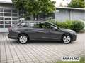 Volkswagen Golf Variant Golf VIII Variant 2.0 TDI LIFE Navi LED RearView Grau - thumbnail 6