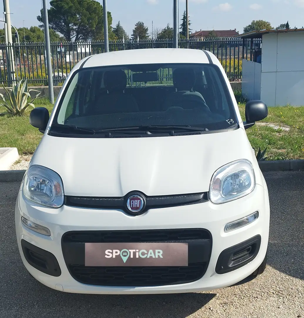 Fiat Panda Panda 1.0 FireFly S&S Hybrid Blanc - 2