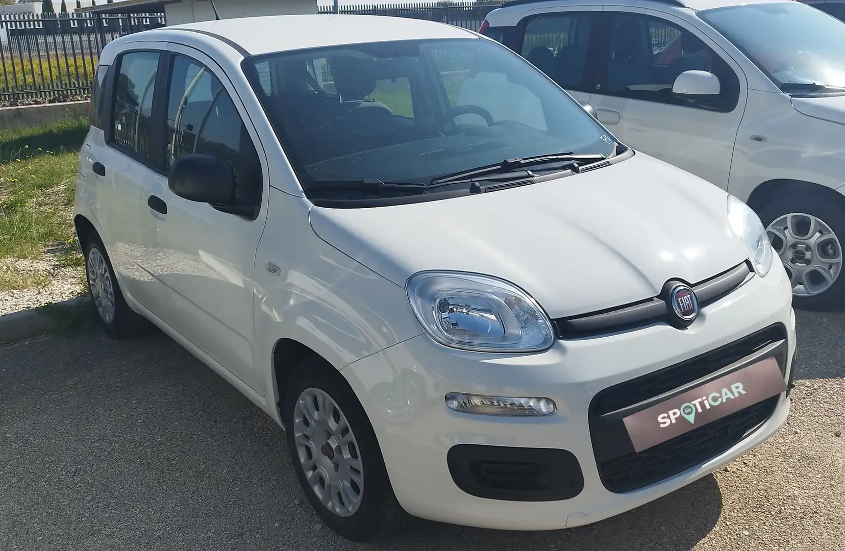 Fiat Panda Panda 1.0 FireFly S&S Hybrid Blanc - 1