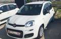 Fiat Panda Panda 1.0 FireFly S&S Hybrid Blanc - thumbnail 3