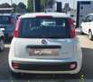 Fiat Panda Panda 1.0 FireFly S&S Hybrid Blanc - thumbnail 9
