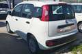 Fiat Panda Panda 1.0 FireFly S&S Hybrid Blanc - thumbnail 10