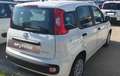 Fiat Panda Panda 1.0 FireFly S&S Hybrid Blanc - thumbnail 8
