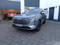 GWM Sonstige Hybrid LUXURY Grau - thumbnail 2