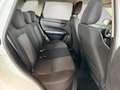 Suzuki Vitara Comfort 1.4 Hybrid 4x2+Totwinkelassistent Weiß - thumbnail 13