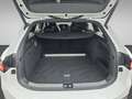 Volkswagen Passat Variant R-Line 2.0 TDI DSG IQ.Light AHK AreaView Navi Weiß - thumbnail 11