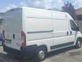 Peugeot Boxer Bianco - thumbnail 15