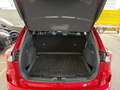 Ford Kuga 2.0 EcoBlue 88 kW 4WD ST-Line X Auto Rot - thumbnail 16